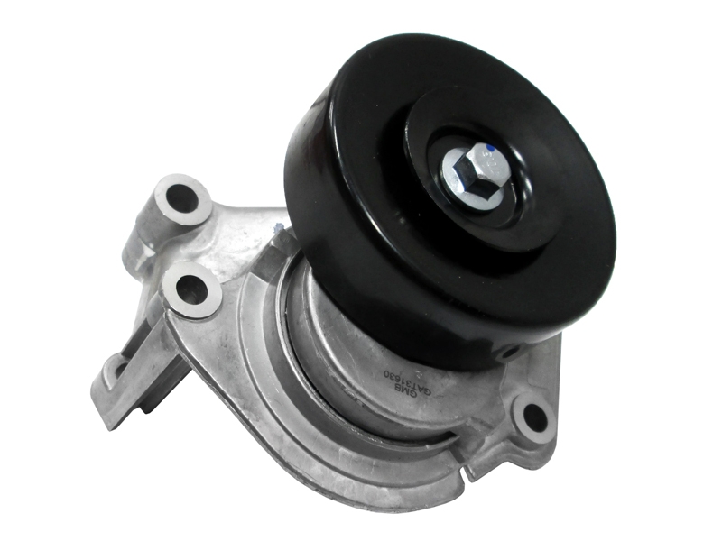 GMB Натяжной ролик TG-TR028* TiGUAR
